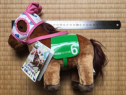 高知競馬　ハルウララ　ぬいぐるみ Amazon.co.jp: ハルウララ ぬいぐるみ 高知競馬 ハルウララ号を